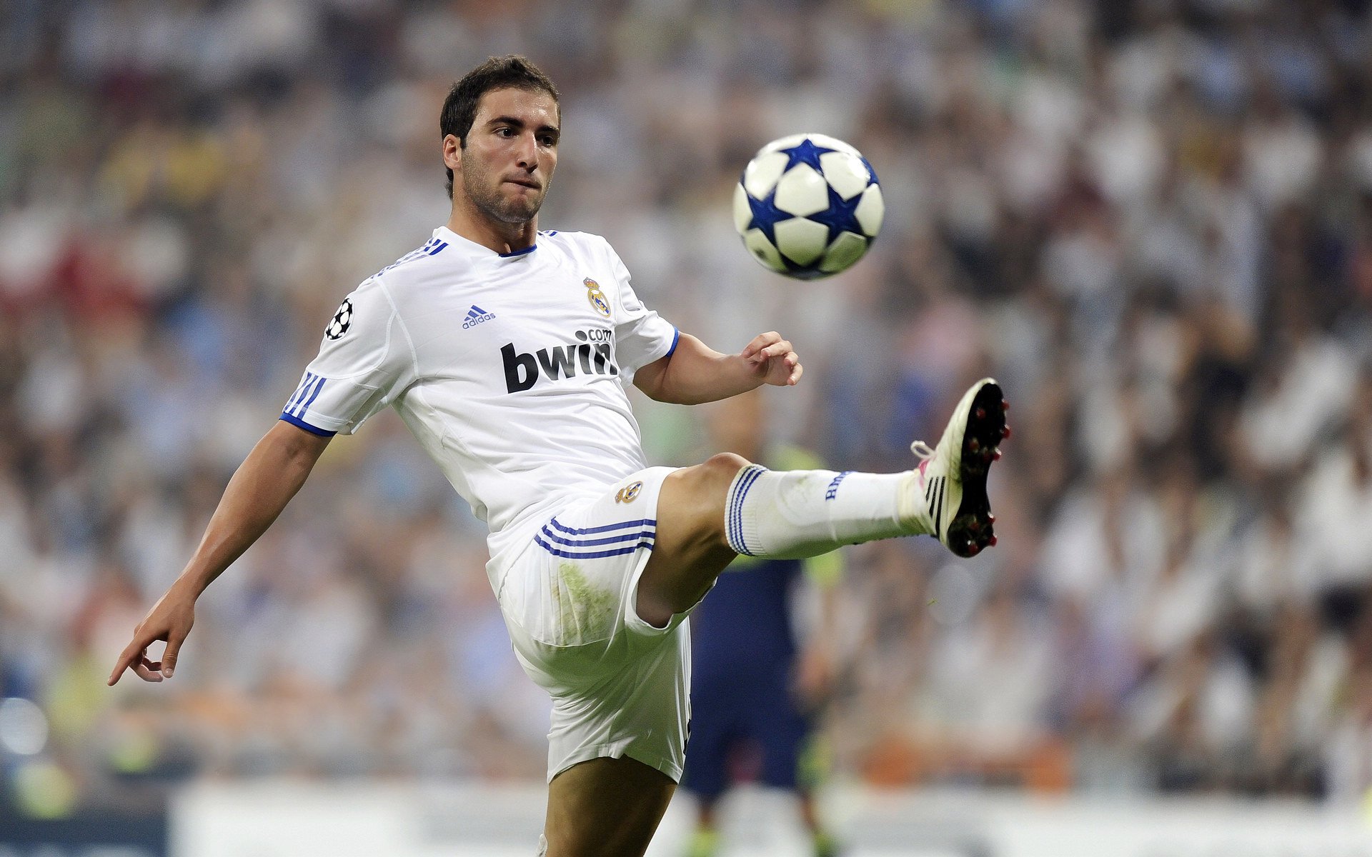 霍特·巴雷特：从全黑队新星到世界级球员，背后传球无与伦比，霍巴特英文