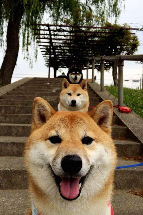 爱游戏娱乐网址-_人工智能助力训练，提升运动员比赛表现_，人工智能锻炼